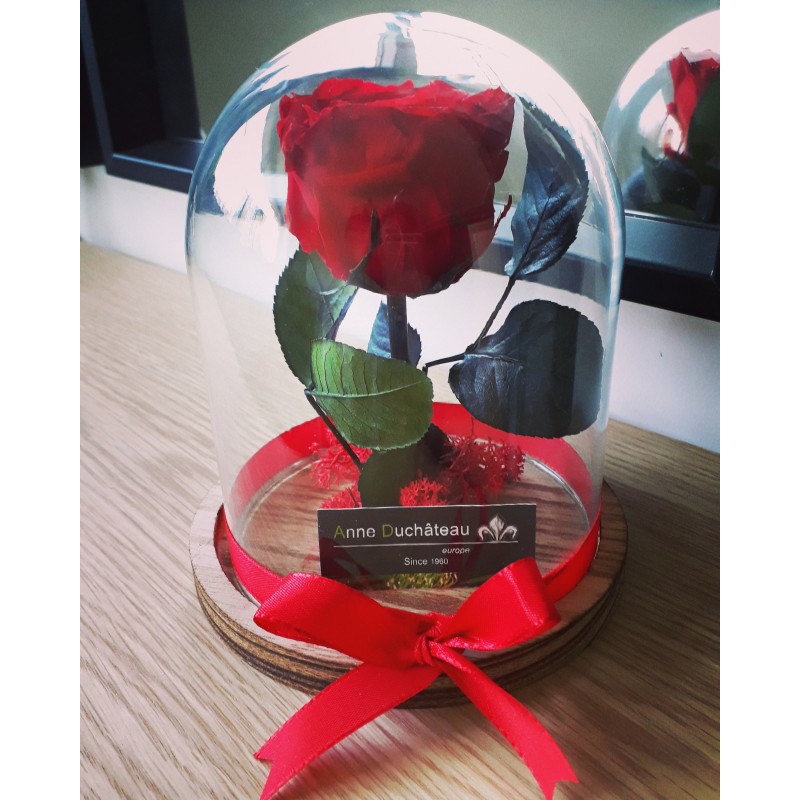 Eternal rose under bell - Love and romance, Stabilized flowers Eternal rose under bell - Love and romance, Stabilized flowers