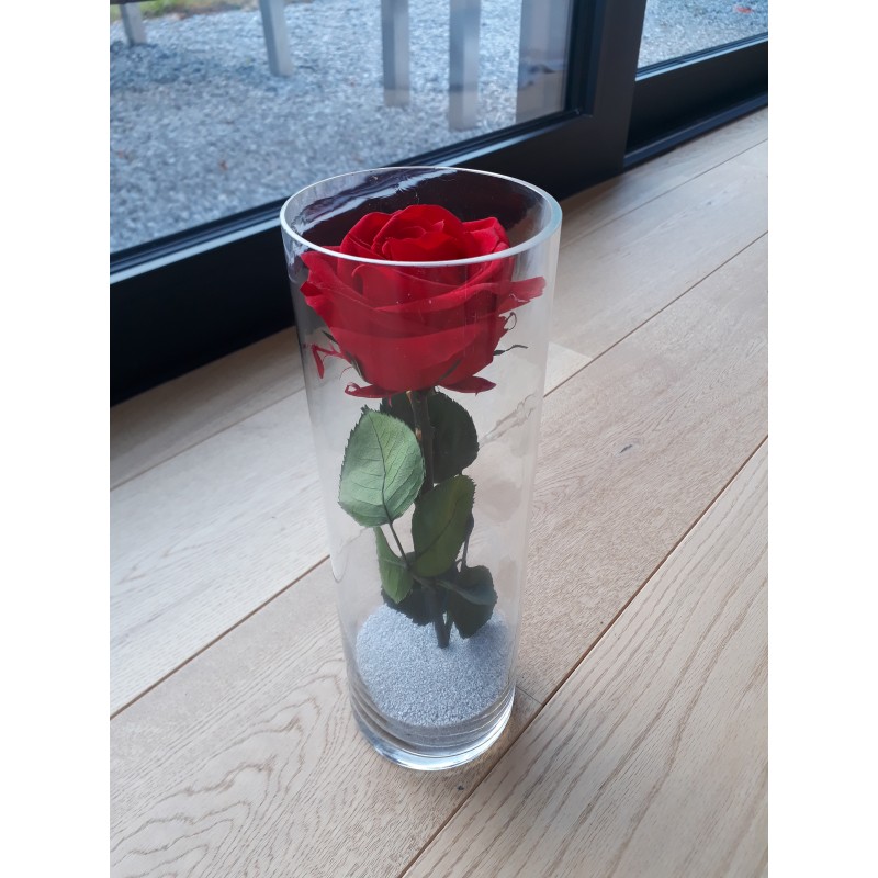 Rose éternelle dans vase - Fleurs stabilisées