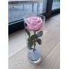 Rose éternelle dans vase