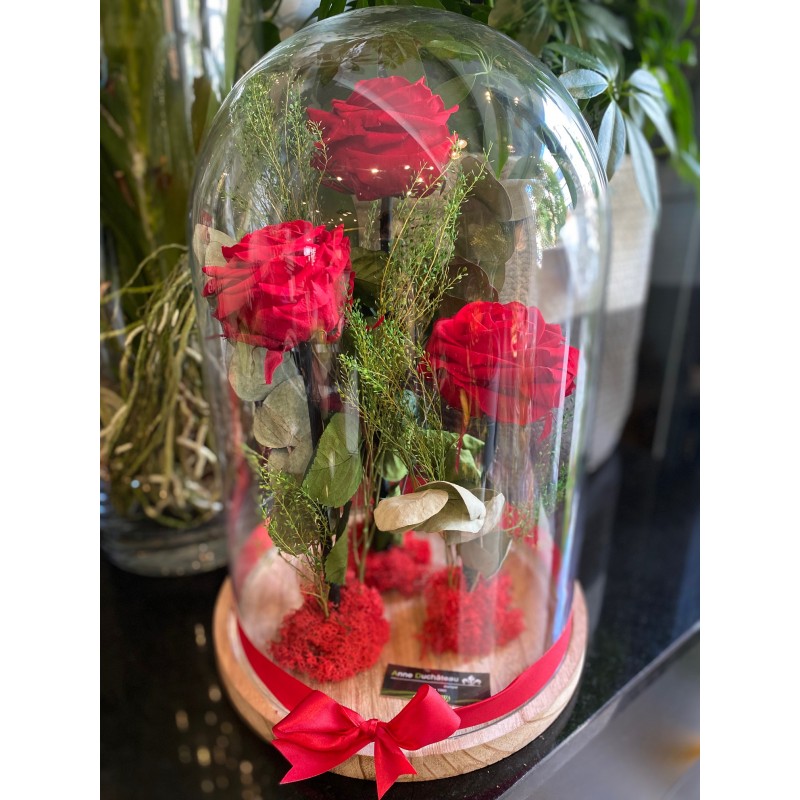 Eternal roses under bell - Love & Romance, stabilized flowers Eternal roses under bell - Love & Romance, stabilized flowers